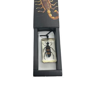 Blister Beetle Resin Pendant Necklace on Cord New in Box Goth Academia Science